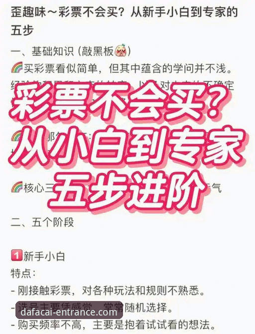大发彩票沉浸式使用指南：新手小白vs资深玩家的选择差异